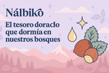 Aceite de avellana chilena: El secreto ancestral que está conquistando la cosmética mundial